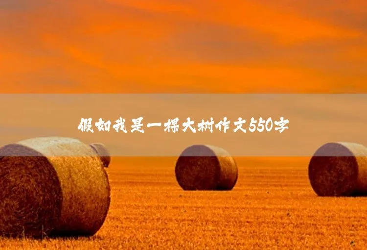 生活中的小镜头作文550字 - MK体育